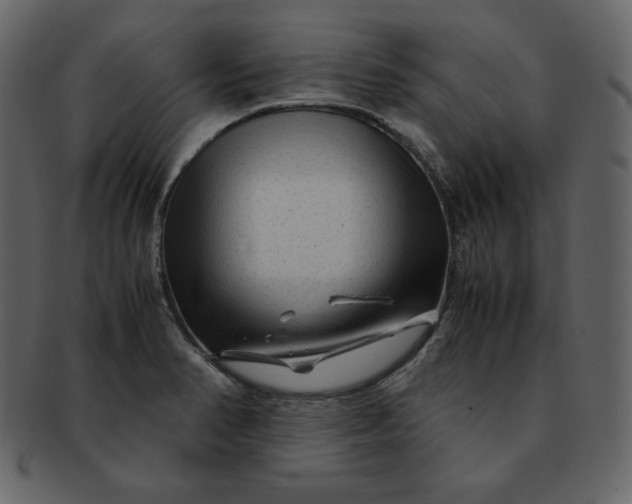 X0000092281374200710051135