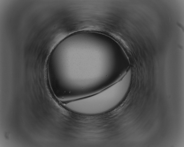 X0000092281375200710051135