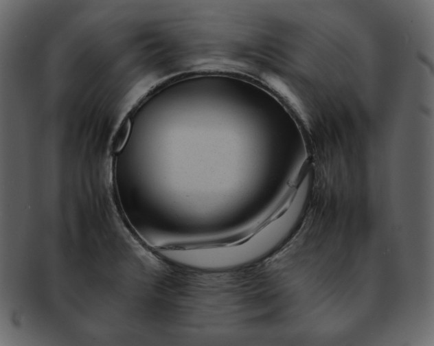 X0000092281376200710051135