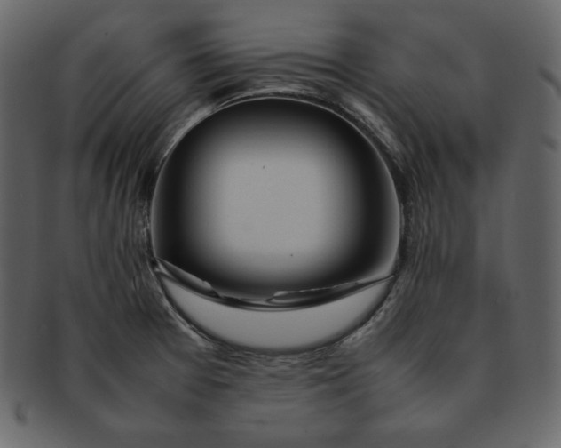 X0000092281377200710051135