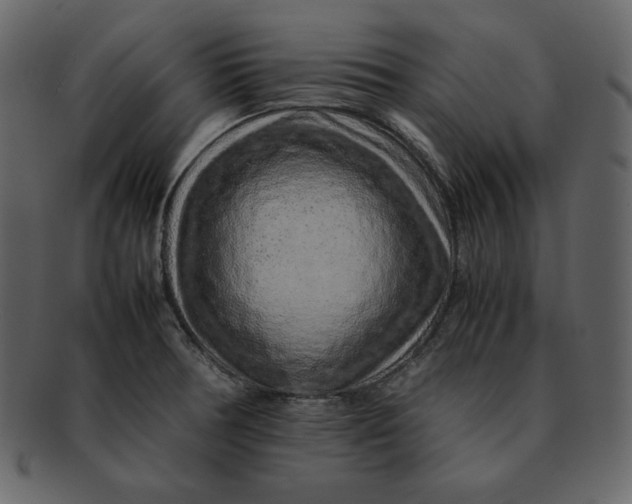 X0000092281378200710051135