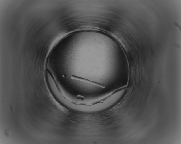 X0000092281379200710051135