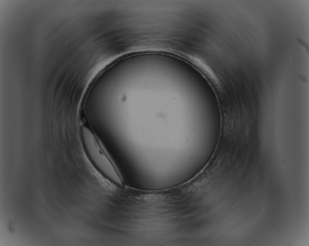 X0000092281380200710051135