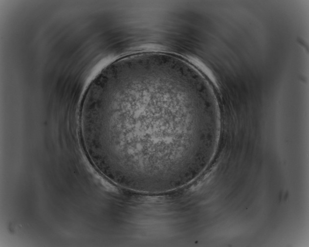 X0000092281381200710051135