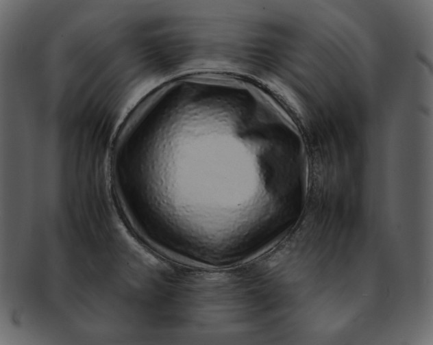 X0000092281382200710051135