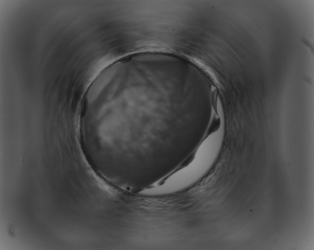 X0000092281383200710051135