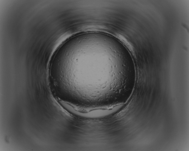 X0000092281384200710051135