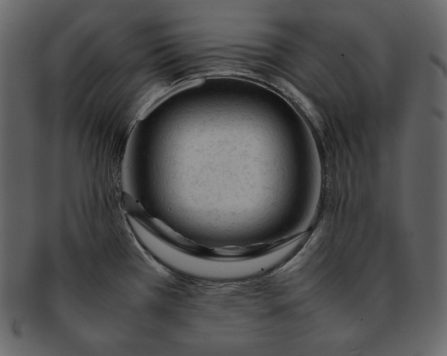 X0000092281385200710051135