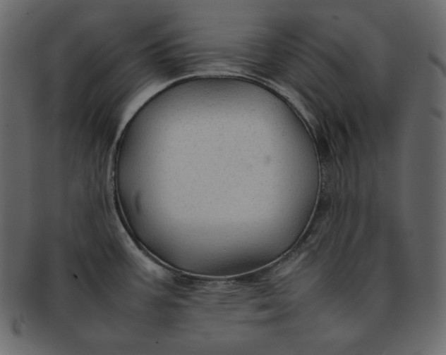 X0000092281387200710051135