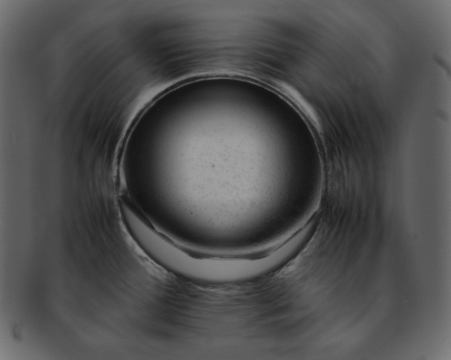 X0000092281388200710051135