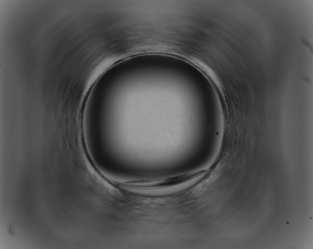 X0000092281389200710051135