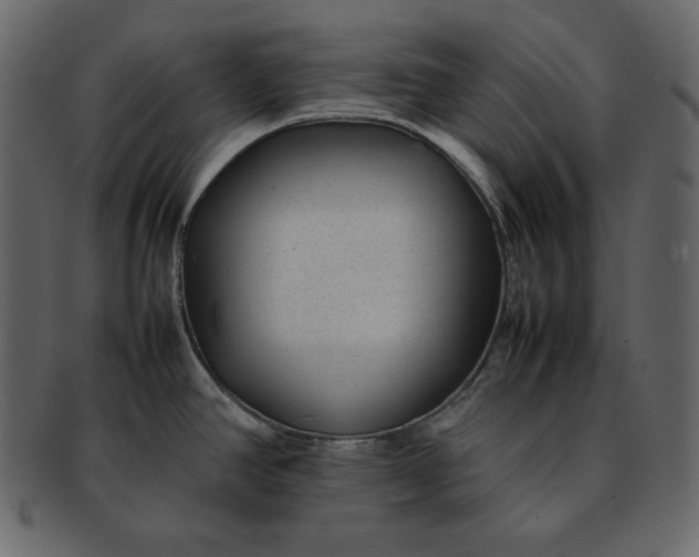 X0000092281390200710051135