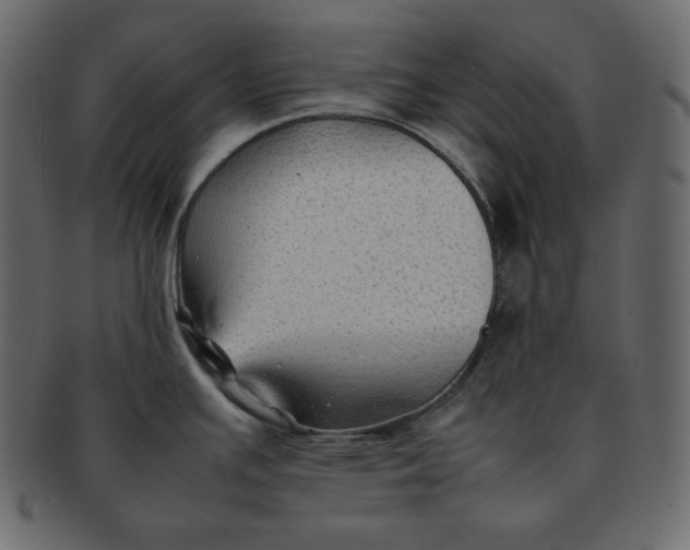 X0000092281391200710051135