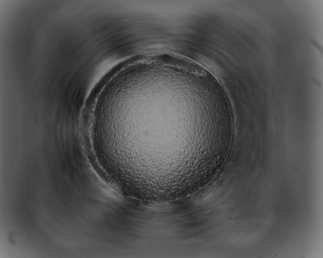 X0000092281392200710051135