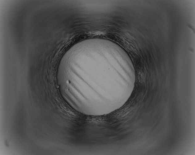 X0000092281393200710051135