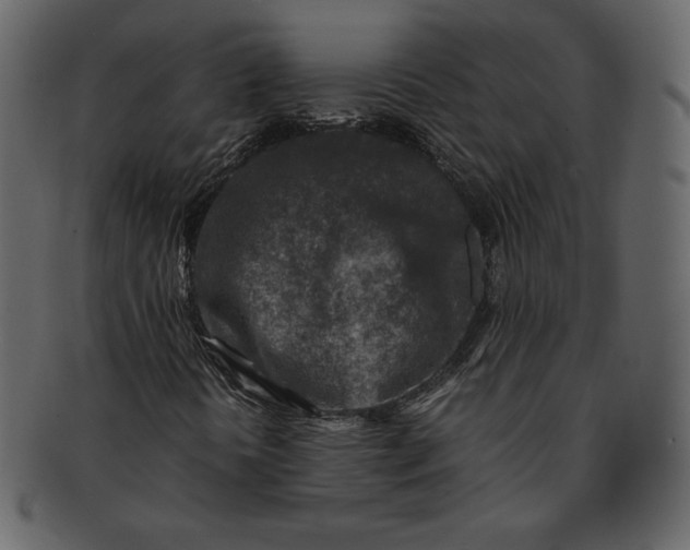 X0000092281394200710051135