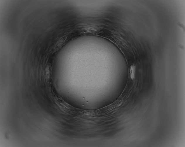 X0000092281395200710051135