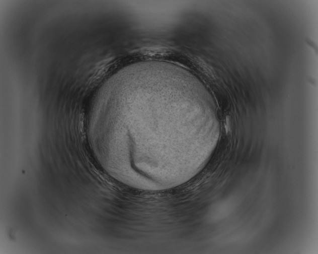 X0000092281396200710051135