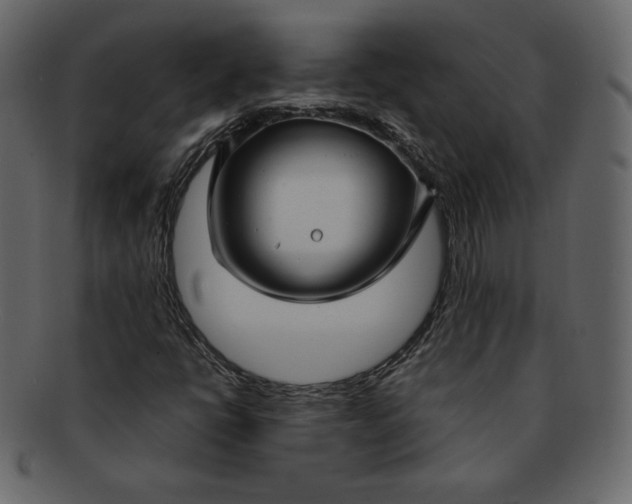 X0000092281398200710051135