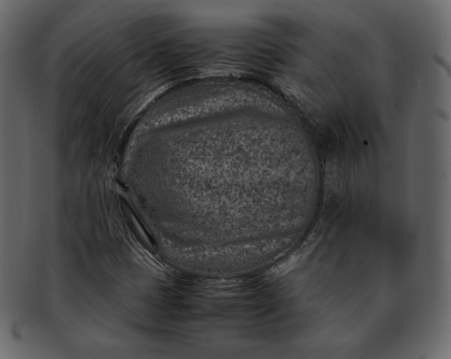 X0000092281401200710051135