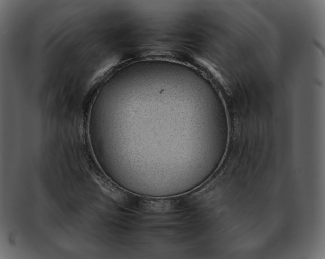 X0000092281403200710051135