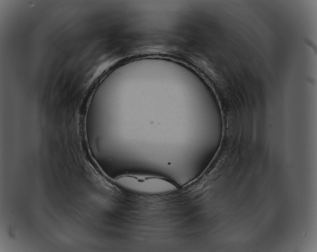 X0000092281404200710051135