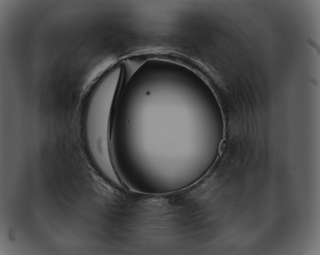 X0000092281406200710051135