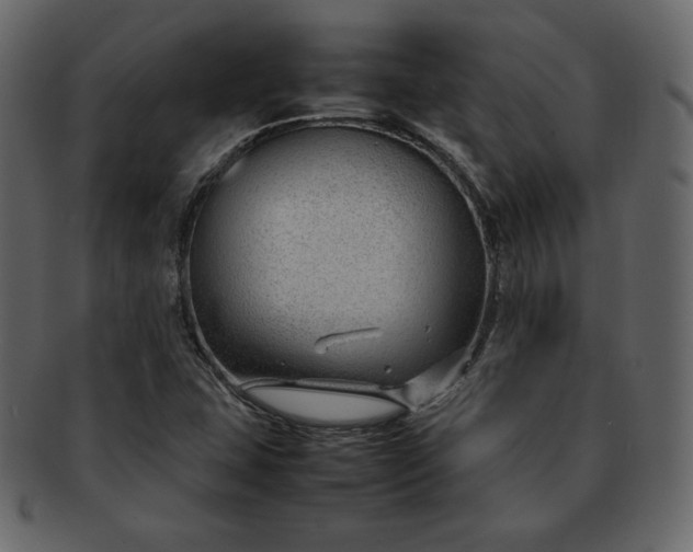 X0000092281407200710051135