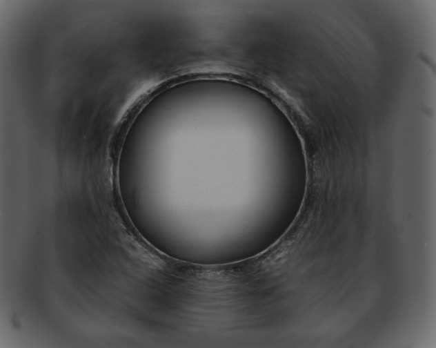 X0000092281408200710051135