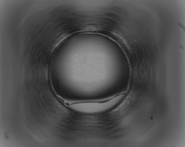 X0000092281409200710051135