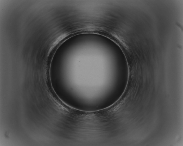 X0000092281410200710051135