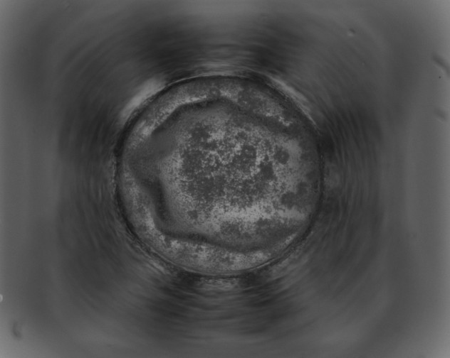 X0000092281411200710051135