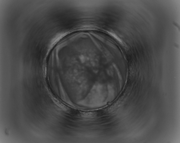 X0000092281413200710051135