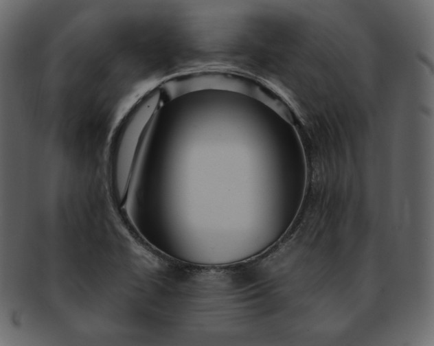 X0000092281414200710051135