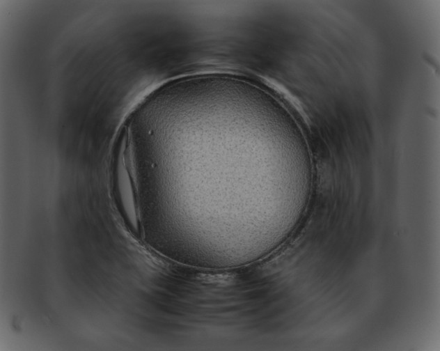 X0000092281415200710051135