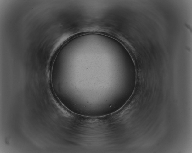 X0000092281416200710051135