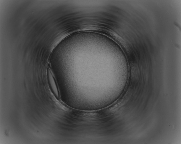 X0000092281417200710051135