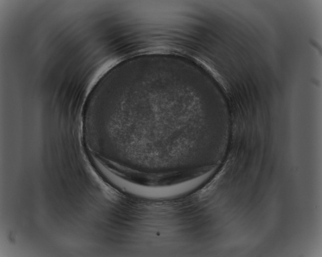 X0000092281418200710051135