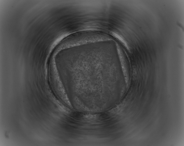 X0000092281419200710051135