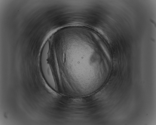 X0000092281421200710051135