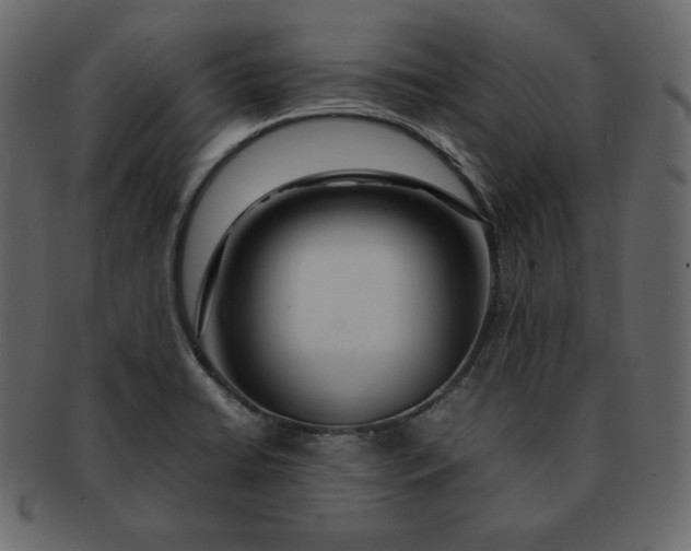 X0000092281422200710051135