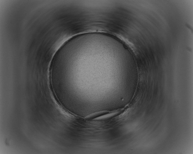 X0000092281423200710051135