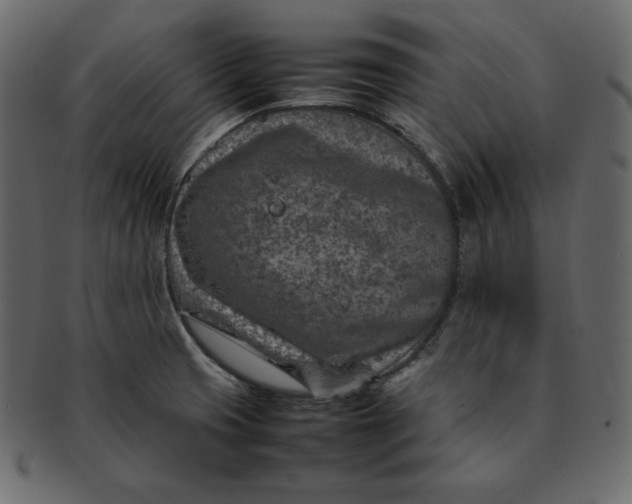 X0000092281425200710051135