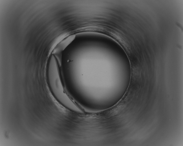 X0000092281426200710051135