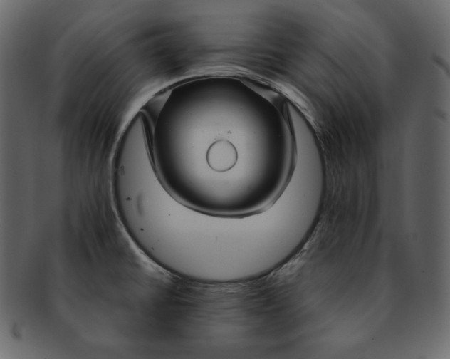 X0000092281430200710051135