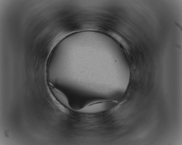 X0000092281431200710051135