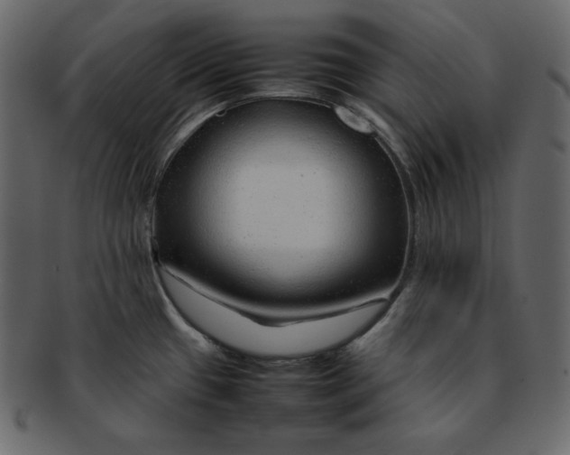 X0000092281433200710051135