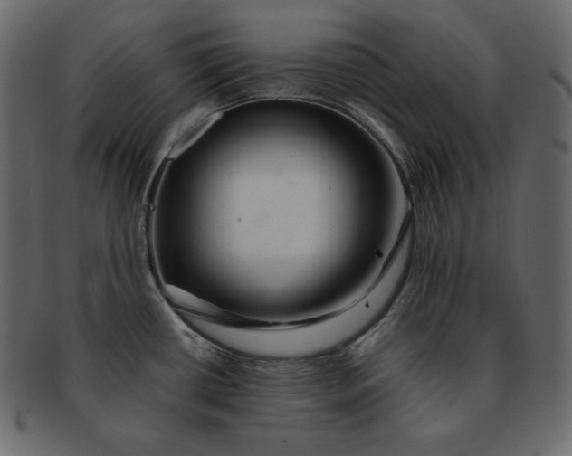 X0000092281434200710051135