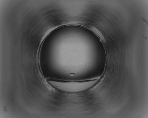 X0000092281436200710051135