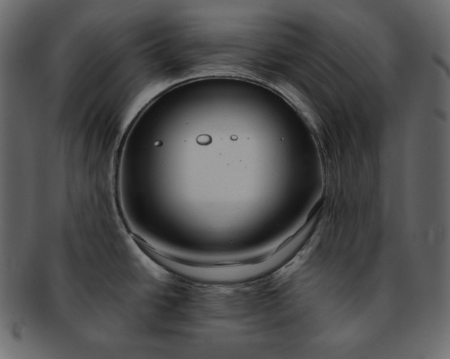 X0000092281438200710051135